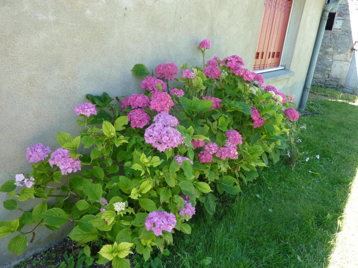 Maison Renovee Avec Cour Privee, Proche De Gannat, 3 Chambres, Animaux Acceptes, Equipements Modernes. - Fr-1-489-37 Poezat Екстериор снимка